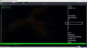 Editing Files Using VI Text Editor | Mastering Linux