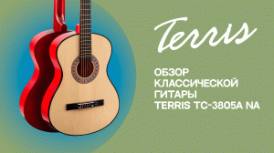 Классическая гитара TERRIS TC-3805A NA