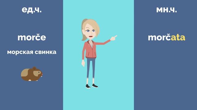 Средний род множественное число 1 падеж | Практика