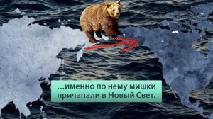 Кадьяк . Крупнейший подвид бурого медведя . Полтонны ярости.
