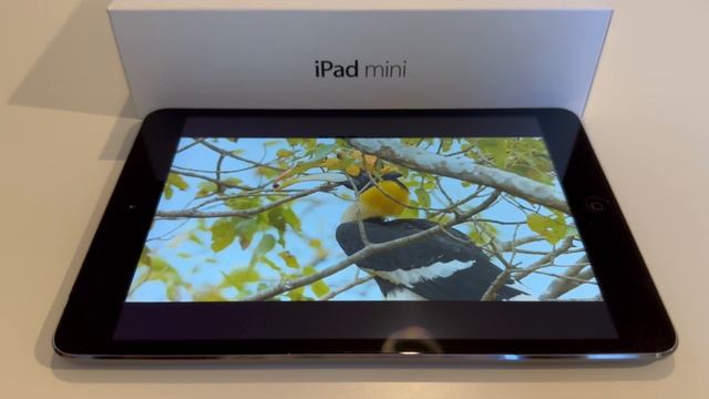 iPad mini 2 честный обзор , для чего подойдет ? Еще актуален? смотреть онлайн