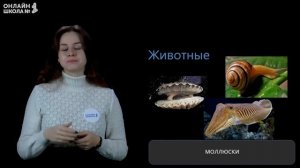 Группы и виды животных. Видеоурок 13. Окружающий мир 3 класс