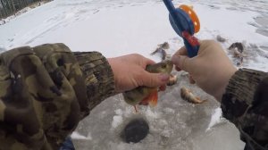 Не рыбалка а сказка, попал на раздачу окуней на р.Етыпур.