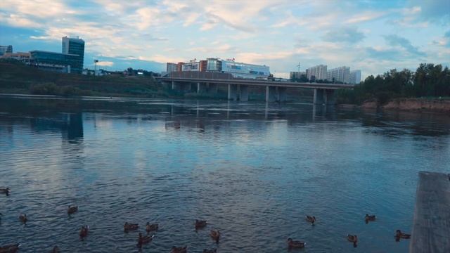 Остров Татышев. Где можно покормить Уток и Сусликов в городе. Красноярск.