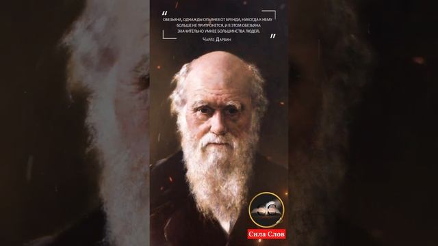 Сила Слов 19 смотреть онлайн