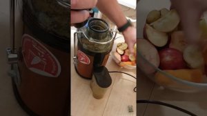 Обзор соковыжималки Scarlett SC-JE50S16