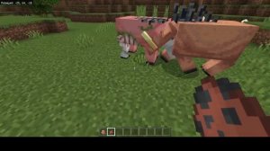 Зоглин против Хоглина