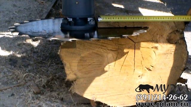 Купить пилораму дисковую ПД 2000 Катунь смотреть онлайн