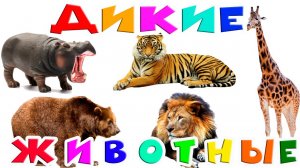 Дикие животные для детей Звуки животных Голоса животных Учим животных Развивающие мультики