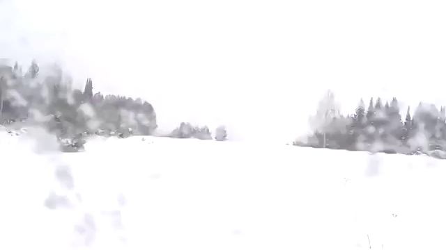 Гусеничный вездеход смотреть онлайн