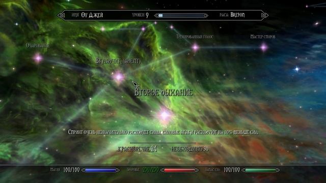 SKYRIM: ИММЕРСИВНАЯ СБОРКА. ВЫПУСК 1 смотреть онлайн