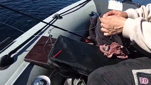 Как ловить и на что ловить треску на Белом море! смотреть онлайн