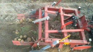 Уборка картошки мотоблокам МТЗ. Тяжёлая земля.