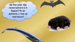 Кто такие звери? Презентация для детей