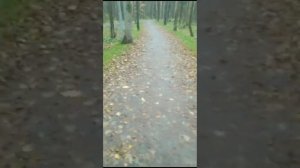Убегаю от Волка