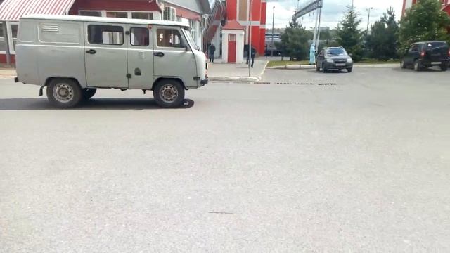 Ласточки летают очень низко над асфальтом. смотреть онлайн