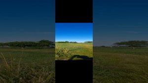 20240613_184015