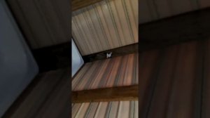 Система водоснабжения на даче с помощью насосной станции