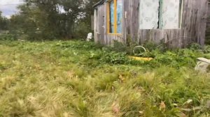 Снт «Яблонька»