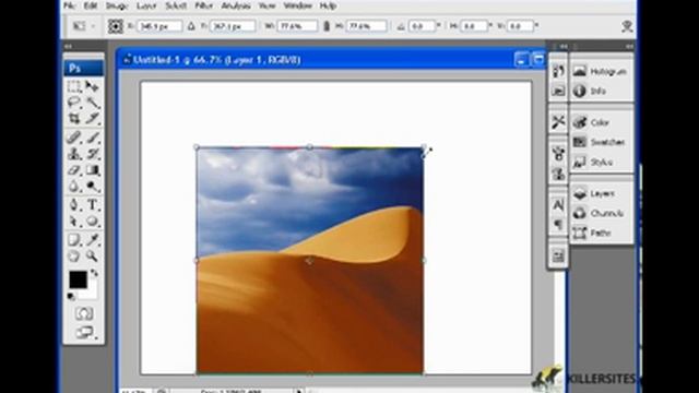 Photoshop CS3 Basics - Scale & Rotate смотреть онлайн