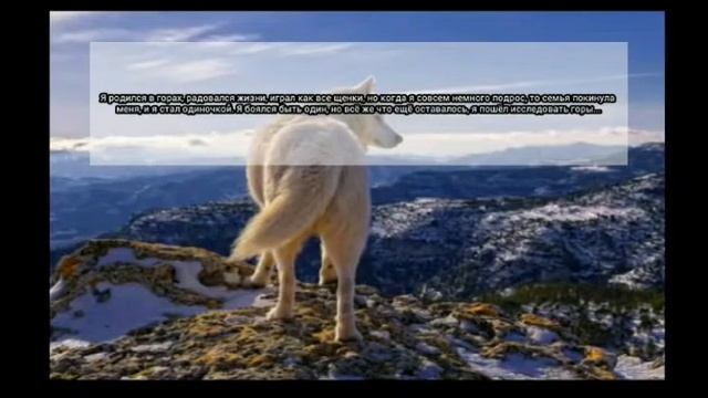 История моего персонажа. Описание! смотреть онлайн