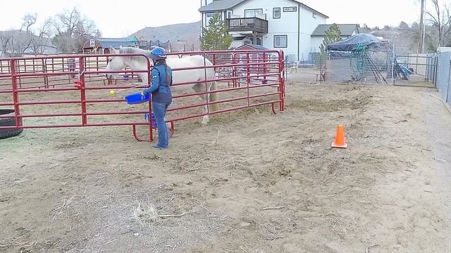 Protected Contact Case Study: Results after Four Sessions смотреть онлайн