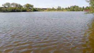 Рыбалка в усадьбе Золотые караси