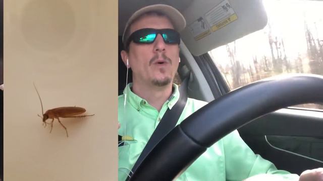 WHY ARE THERE COCKROACHES IN YOUR HOUSE? - Understand Why Roaches Come Inside & Where They Come Fro смотреть онлайн