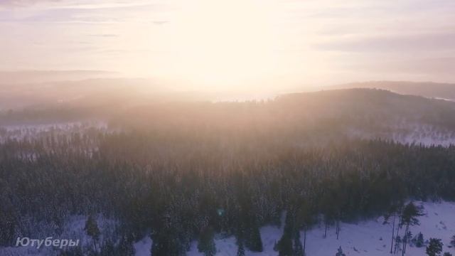 Волки напали на медвежонка, желая разорвать его в клочья... Увидев это, егерь потерял дар речи... смотреть онлайн