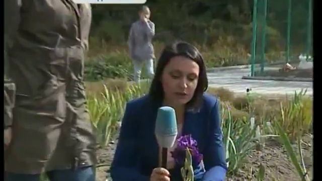 Настоящий осенний бал цветов - в Ботаническом саду смотреть онлайн