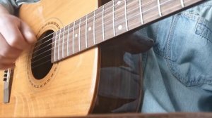 Cremona Strunal D-973