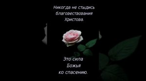 Благославенного утра и дня с Богом! Христианское пожелание!