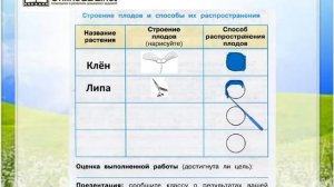 Задание 3 Размножение и развитие растений - Окружающий мир 3 класс (Плешаков А.А.) 1 часть