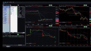 robert shapiro Live Stream