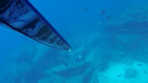 Подводная охота в океане