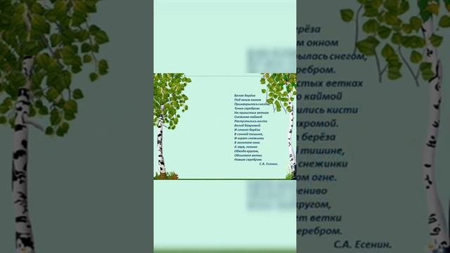 Белоствольная красавица