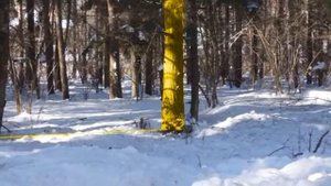 Священник Андрей Дударев нашел захоронение семьи пушкинского мецената Михаила Шарикова