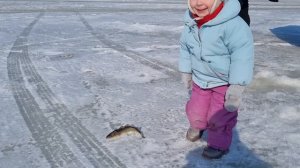 Супер рыбалка с детьми в японском море ???