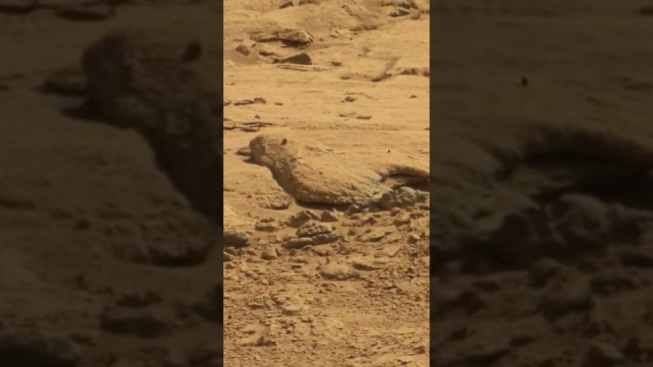 Каменная птица на Марсе - Необычная форма скалы и нужный ракурс смотреть онлайн