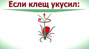 Клещевой энцефалит