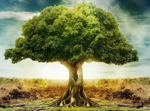 ПОСЛАНИЯ РОДА ??? Общий расклад Таро