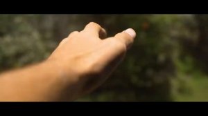 Твоё Великое Открытие - Африка 2020 - Великая Миграция Животных (индивидуальный тур)