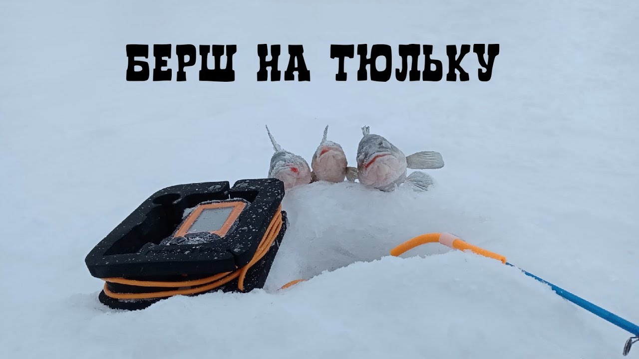 ЛОВЛЯ БЕРША НА ВОЛГЕ НА БЛЕСНУ С ПОДСАДКОЙ ТЮЛЬКИ _ ПОГОДА ЖЕСТЬ,А Я НА РЫБАЛКЕ. смотреть онлайн