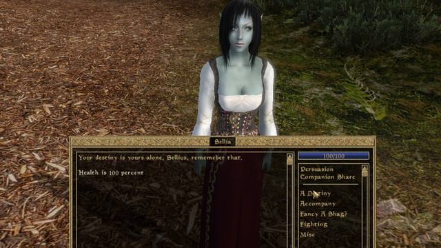 Morrowind 2013-03-18 07-21-17-56 смотреть онлайн