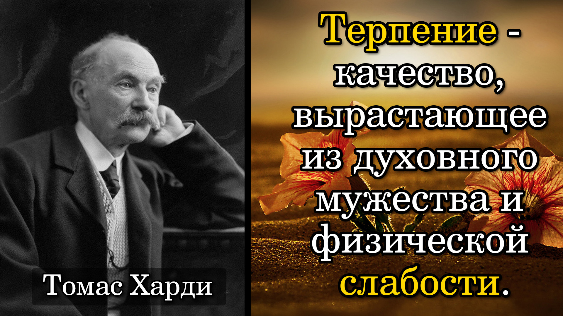 Томас Харди. Терпение - качество, вырастающее из духовного мужества и физической слабости.