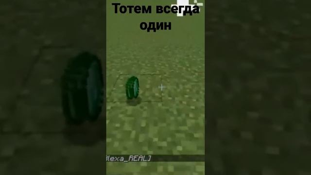 Тотем всегда один #shorts #майнкрафт #мем #мемы #логика #лол #minecraft #прикол #meme #ржака #memes смотреть онлайн