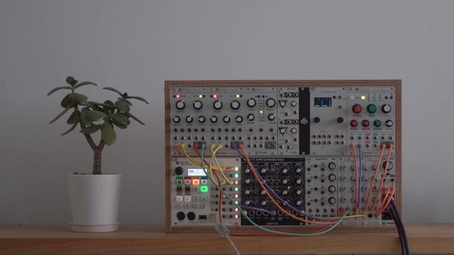 Christian Petzold, Minuets in G major, BWV Anh. 114 on Modular Synthesizer смотреть онлайн