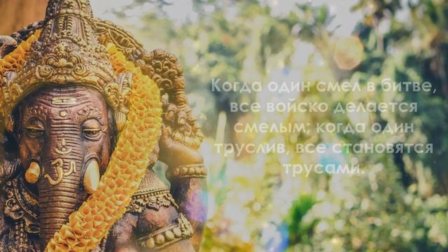 Пословицы и поговорки Индии | Цитаты, афоризмы и мудрые слова Индийского народа