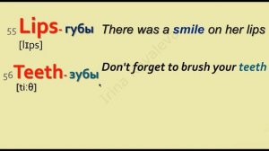 ТОП АНГЛИЙСКИХ СЛОВ, которые НУЖНО ЗНАТЬ. Английский для начинающих. Английские слова с переводом