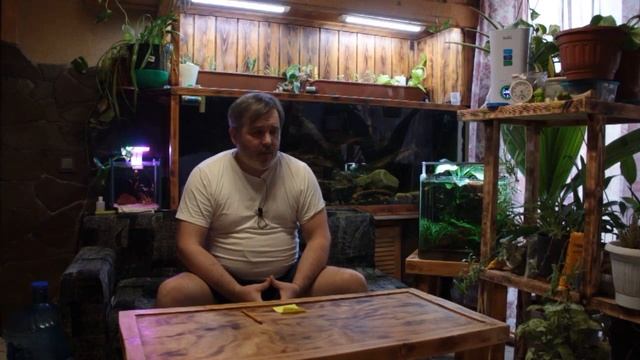 Цихлидник на 500 ЛИТРОВ смотреть онлайн